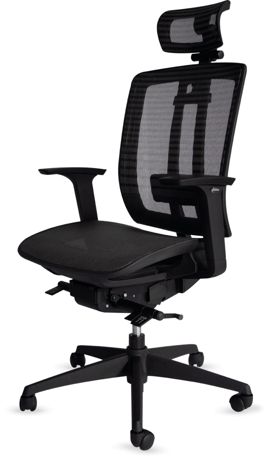 Silla ejecutiva ergonómica de lujo Lynix® | PM STEELE®