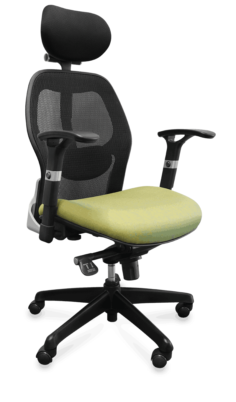 Silla ejecutiva ergonómica de lujo Cyrius®  | PM STEELE®